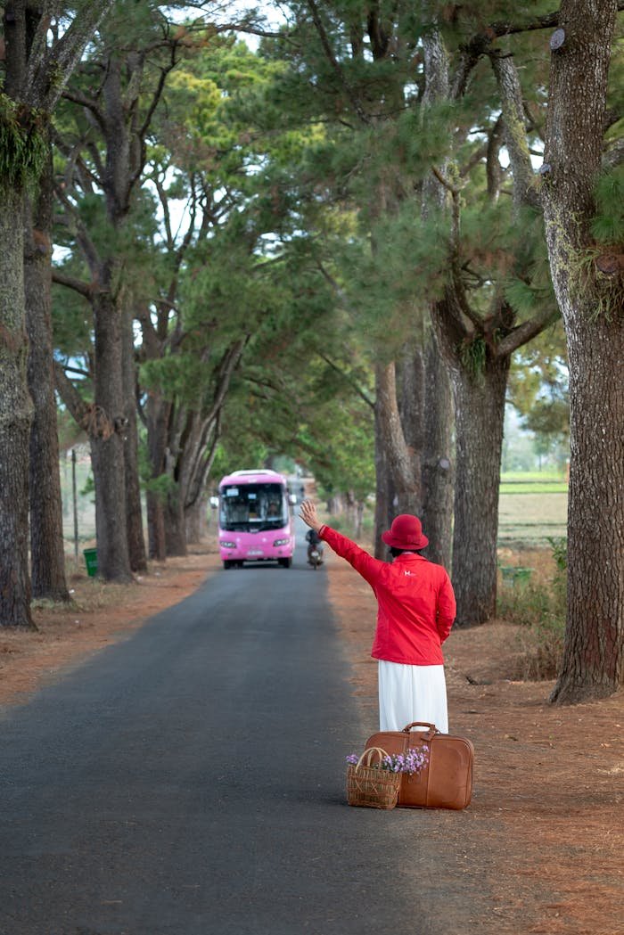 Woman in red waving to a bus on a picturesque country road lined with tall trees.